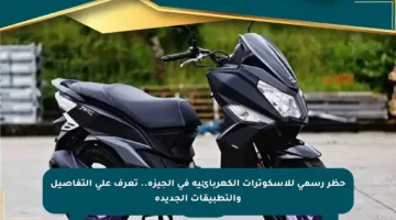 حظر رسمي للإسكوترات الكهربائية في الجيزة.. تعرف على التفاصيل والتطبيقات الجديدة